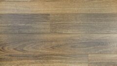 Prime Contemporary Plus Edition - 9927