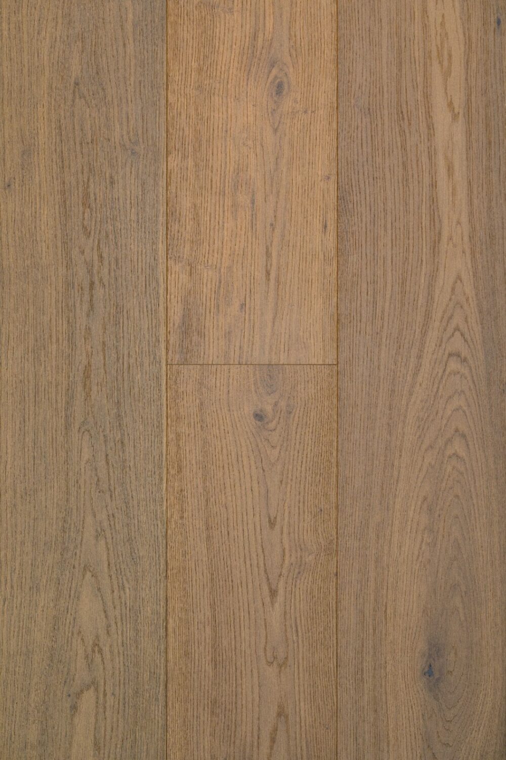 Wonderwood Timber - 14024 [14mm]