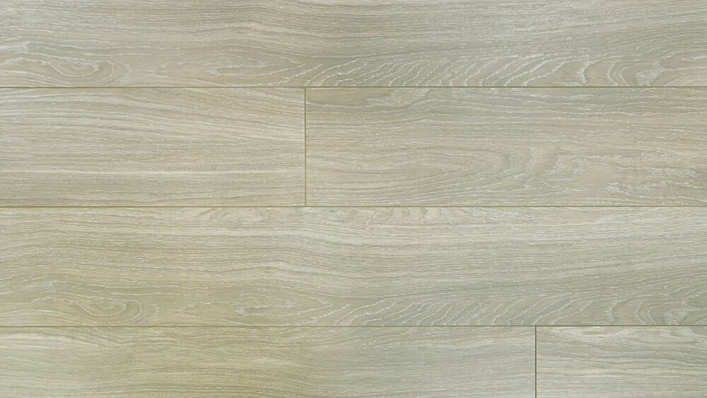 Prime Contemporary Plus Edition - 9920