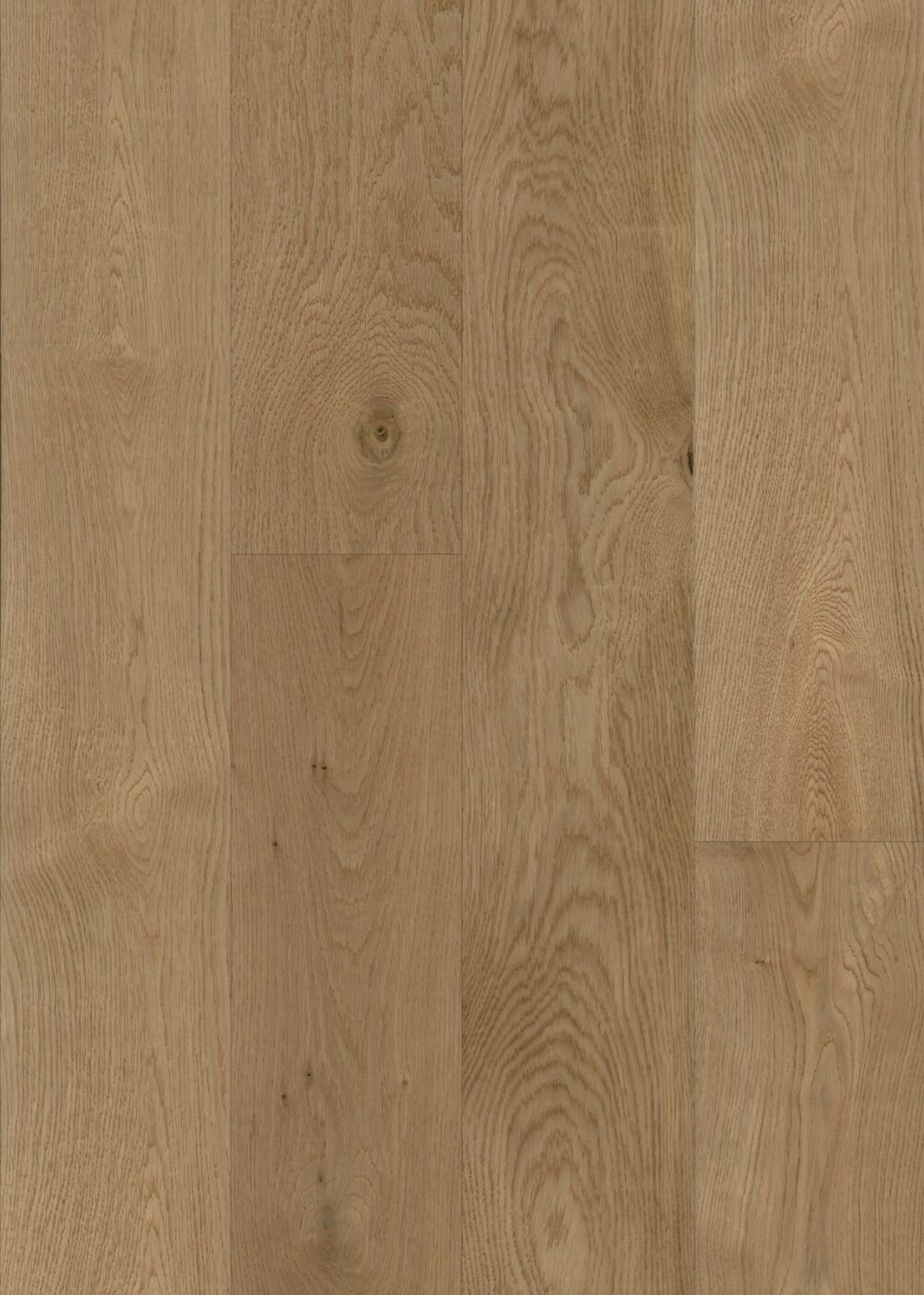 Wonderwood Timber - 1049 [20mm]