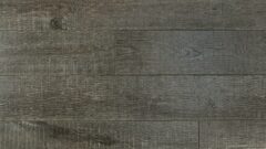 Prime Contemporary Plus Edition - 9929