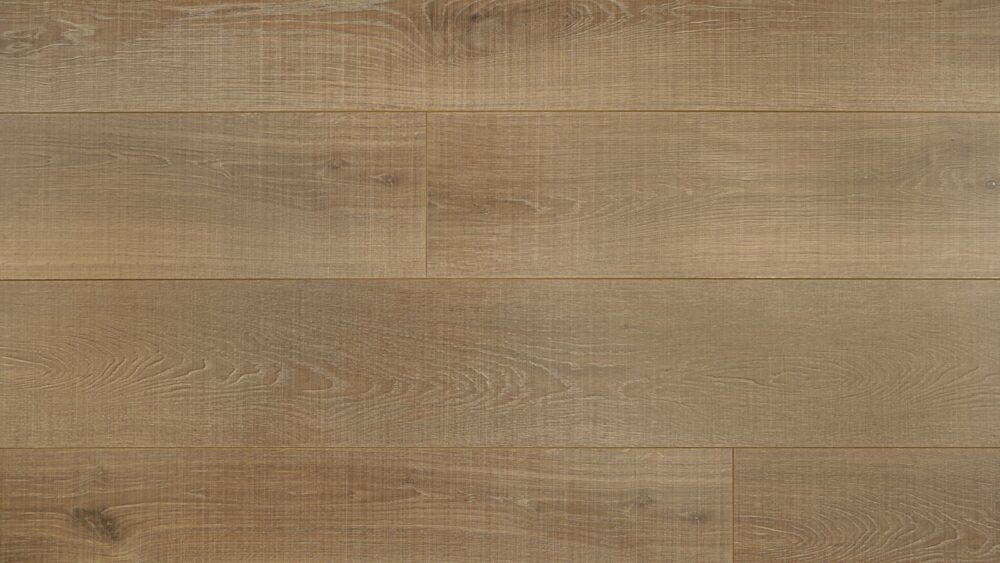 Prime Contemporary Plus Edition - 9926