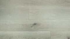 Prime Contemporary Plus Edition - 9925