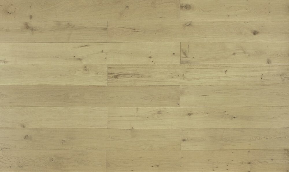 Project Oak - P02