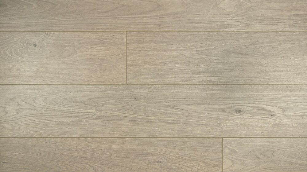 Prime Contemporary Plus Edition - 9922