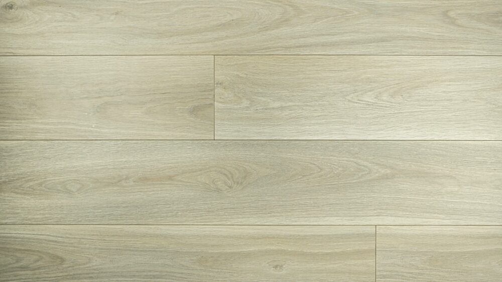Prime Contemporary Plus Edition - 9923